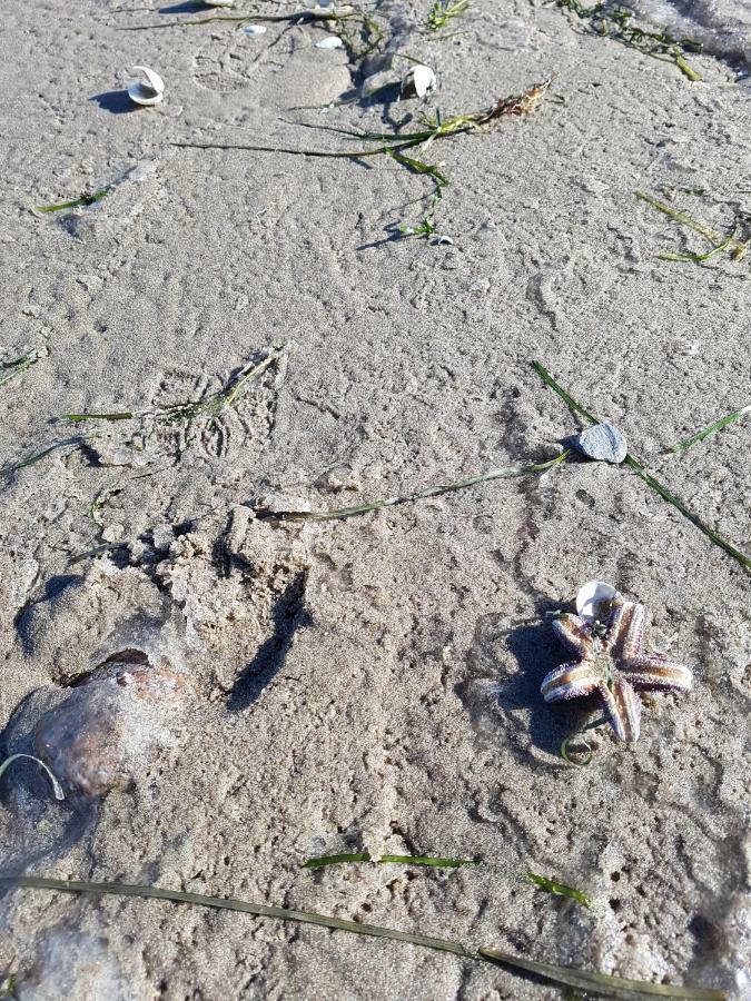 Seesternchen Groß Schwansee Eksteriør billede