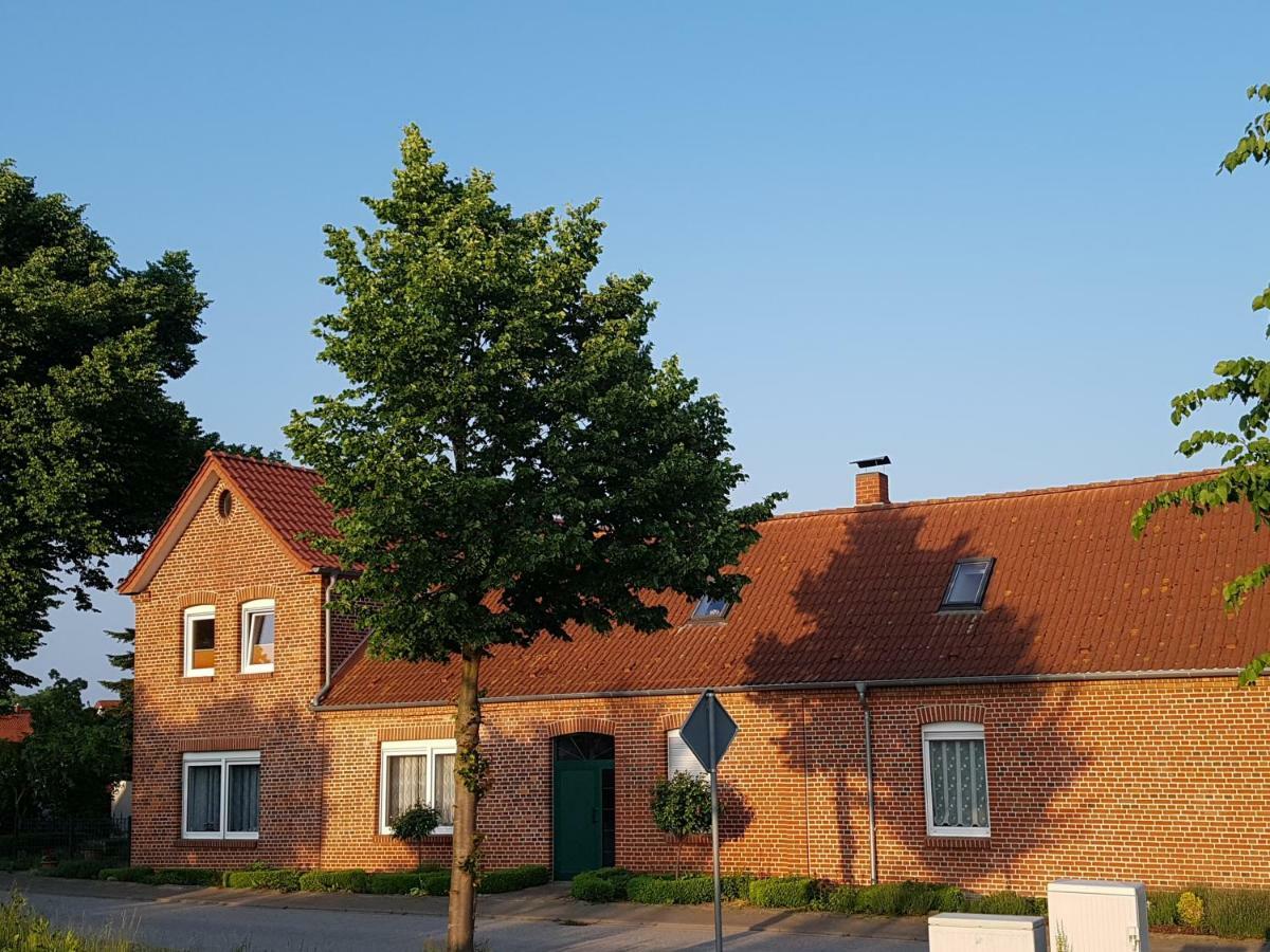 Seesternchen Groß Schwansee Eksteriør billede