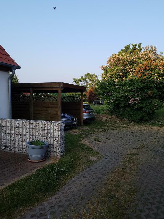 Seesternchen Groß Schwansee Eksteriør billede